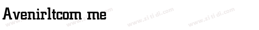 Avenirltcom medium字体转换